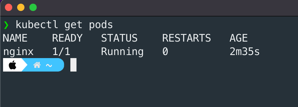 Pod Get Pods Output