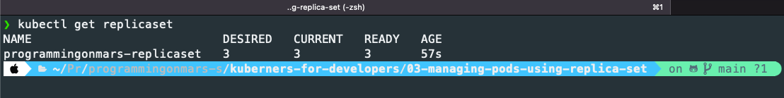 ReplicaSet Output